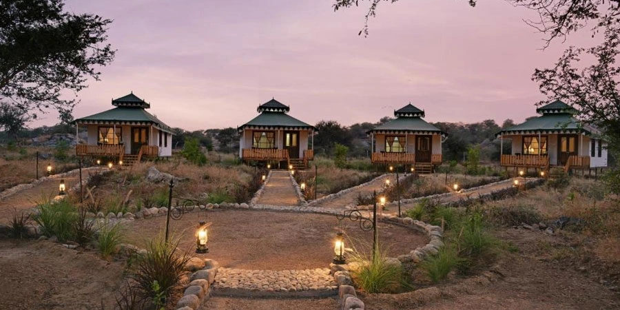 why-is-agvani-the-best-leopard-lodge-in-jawai-for-you