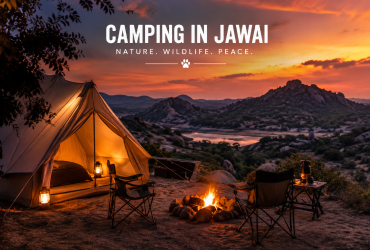 Camping in Jawai Rajasthan with luxury tent, campfire and scenic hills