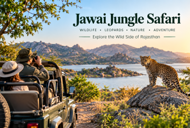 Jawai Leopard Safari with leopard on granite rocks, safari jeep, lake and Jawai hills in Rajasthan