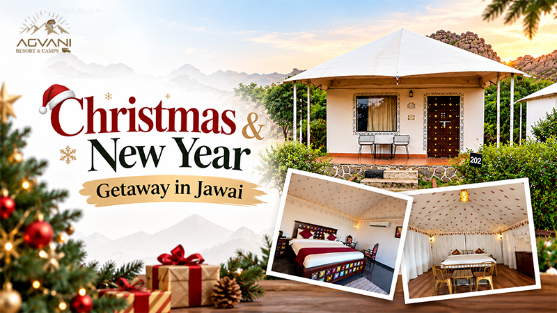 Christmas & New Year Getaway in Jawai: Book Your Stay at Agvani Resort
