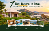 7 Best Resorts in Jawai for a Perfect Wildlife & Luxury Getaway