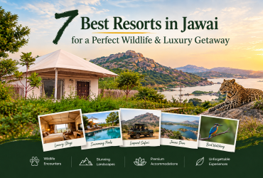 7 Best Resorts in Jawai for a Perfect Wildlife & Luxury Getaway