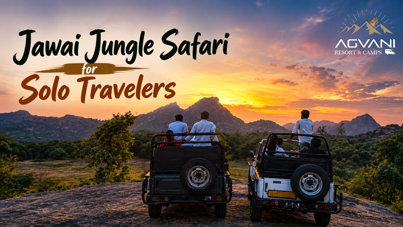 Jawai Jungle Safari for Solo Travelers (Safety & Tips)