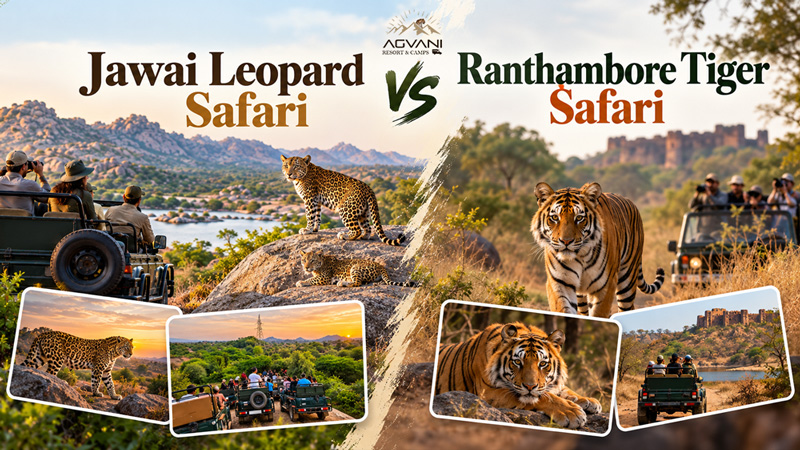Jawai Leopard Safari vs Ranthambore Tiger Safari: Which Trip is Better for You?
