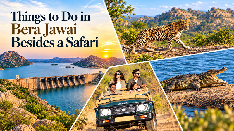 Things to Do in Bera Jawai Besides a Safari