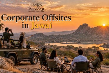 Corporate team on a leopard safari gypsy at Agvani Resort, Jawai