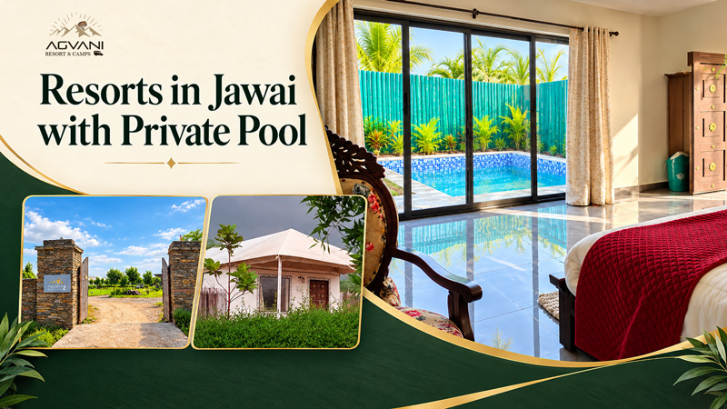 Resorts in Jawai with Private Pool: Checklist Before Booking